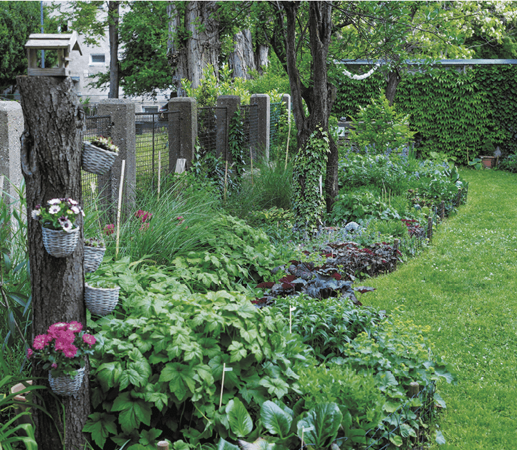 Predzáhradka číslo šesť na Koceľovej ulici v Ružinove.