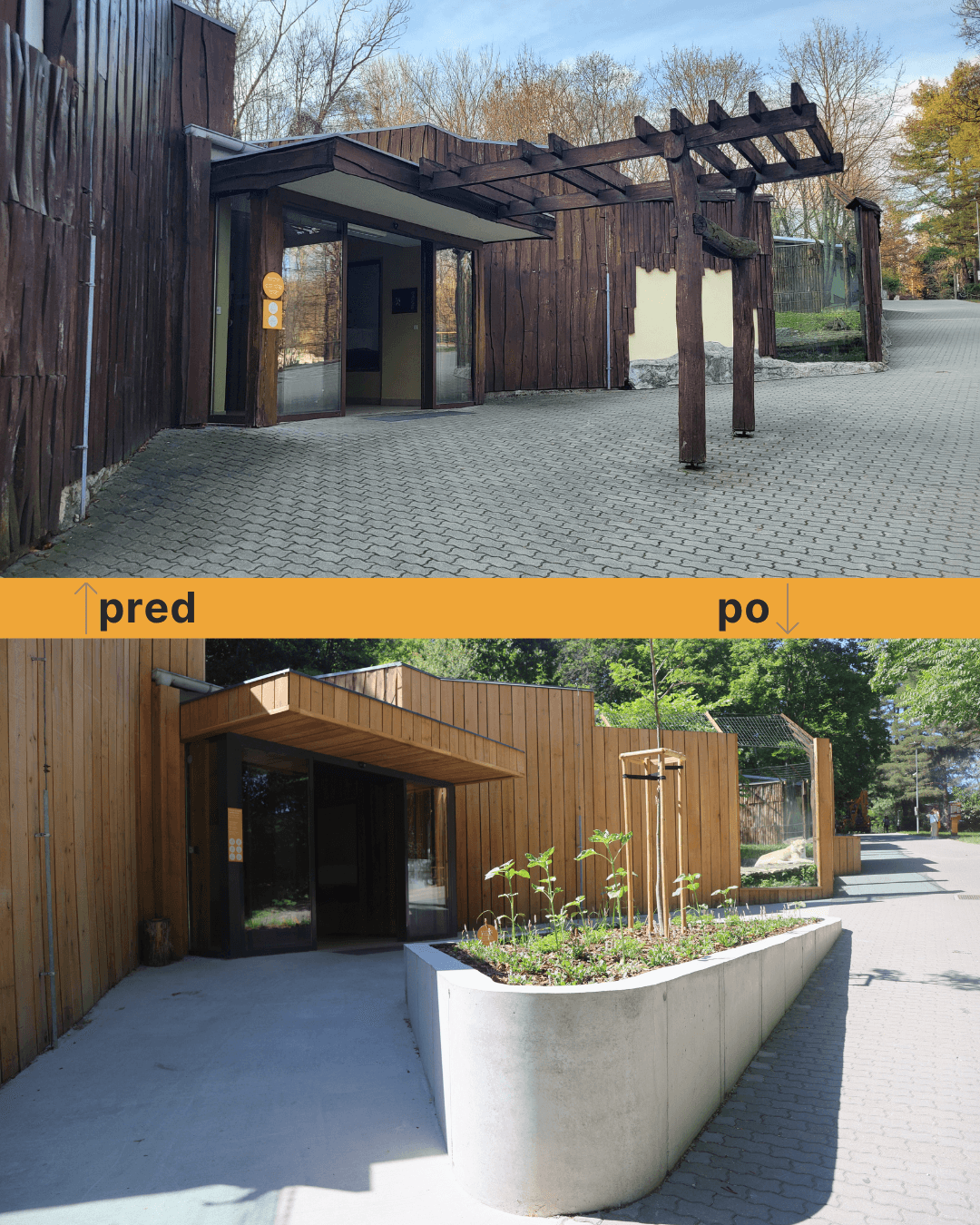 ZOO Bratislava otvára zmodernizovaný pavilón šeliem