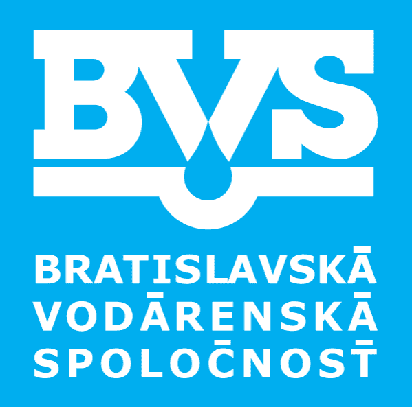 Logo BVS